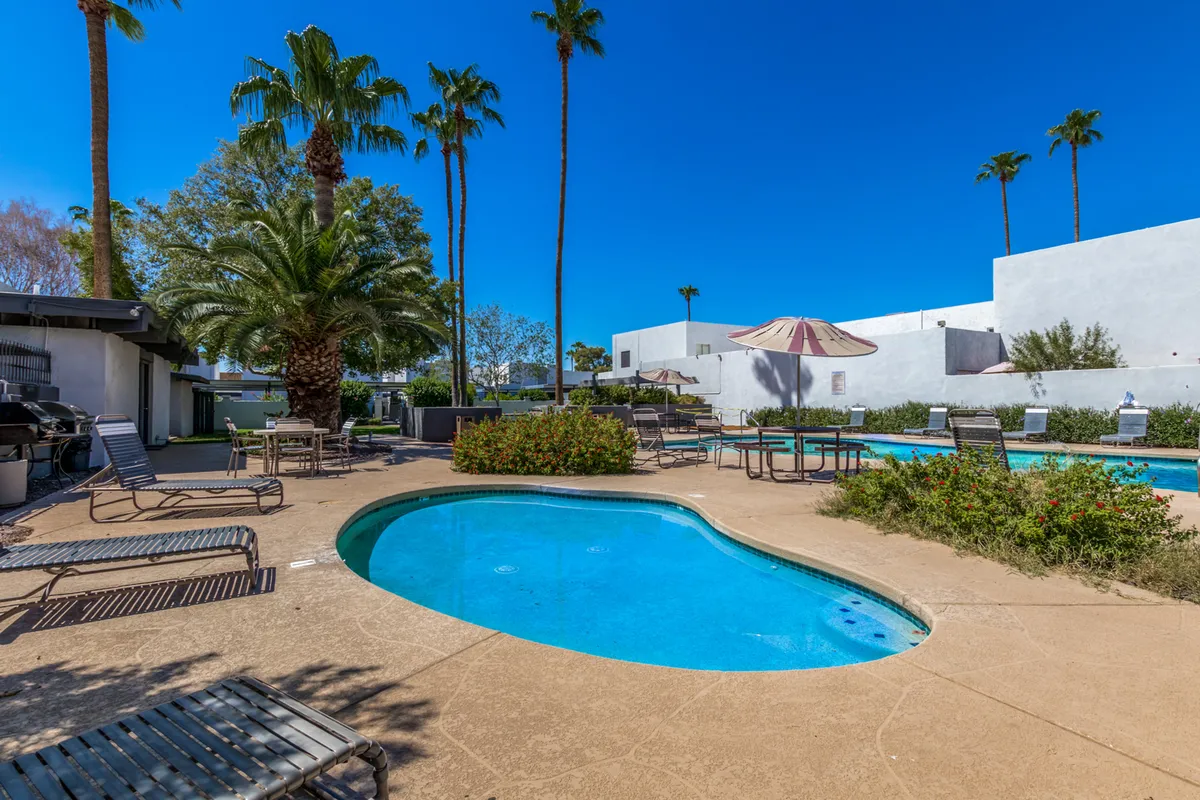 A vibrant outdoor area featuring a sparkling swimming pool, surrounded by palm trees, lounge chairs, and a dedicated barbecue area. The ambiance is leisurely and resort-like, hinting at luxurious shared amenities.