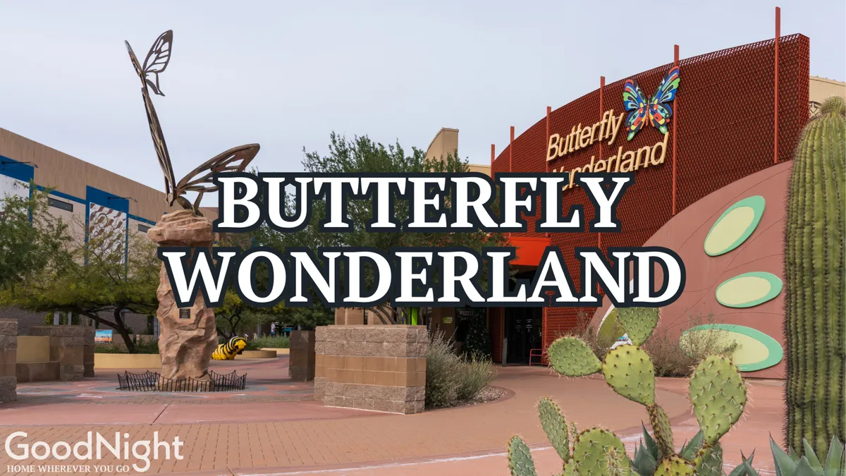 This exterior image features a large, whimsical butterfly sculpture and colorful signage at the entrance to Butterfly Wonderland. Cacti and lush greenery in the foreground contribute to a vibrant, family-friendly atmosphere.