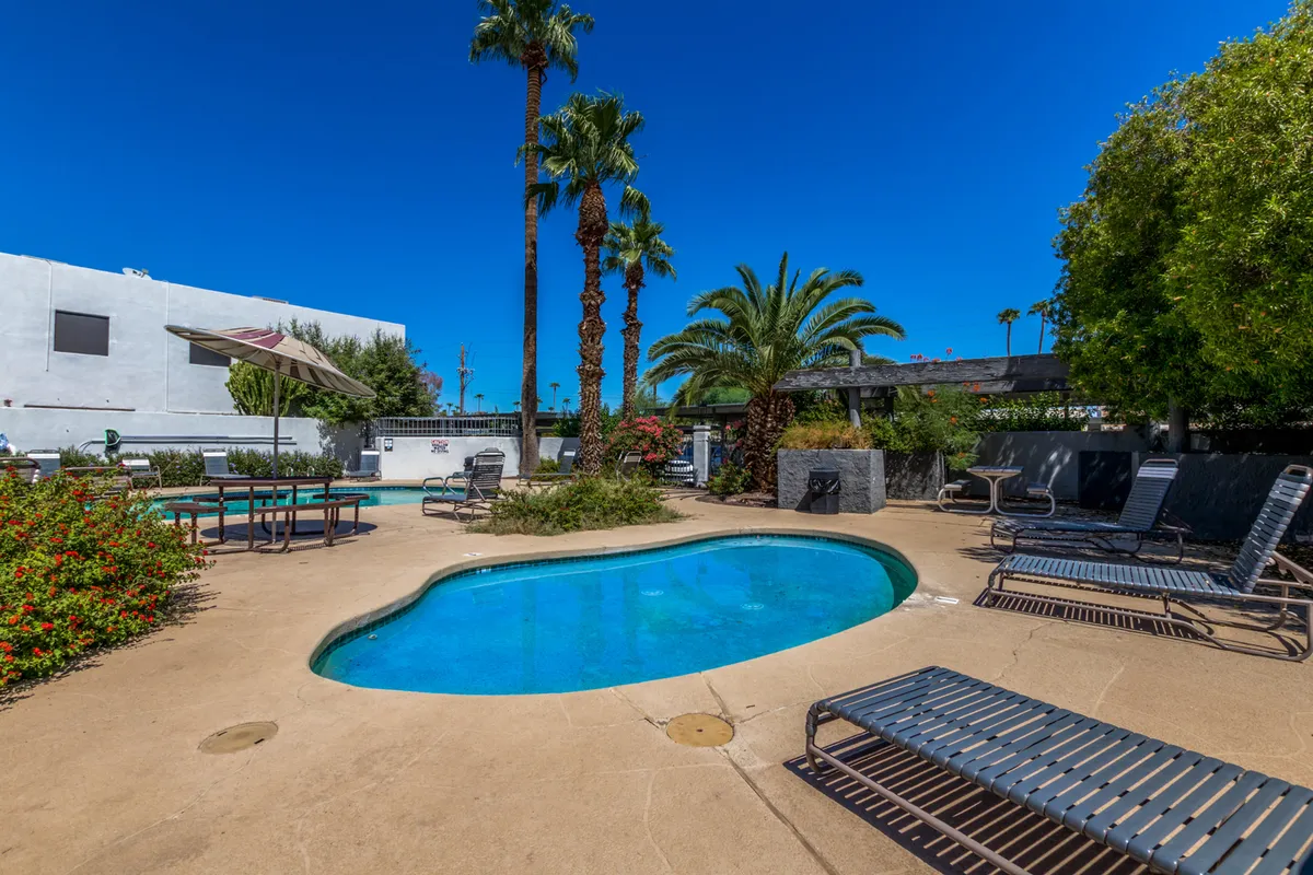 A sparkling resort-style pool surrounded by palm trees, lush landscaping, and plenty of lounge chairs frames this inviting community space. The pool area encourages relaxation, sunbathing, and social gatherings, conveying a true resort-like experience just steps from home.