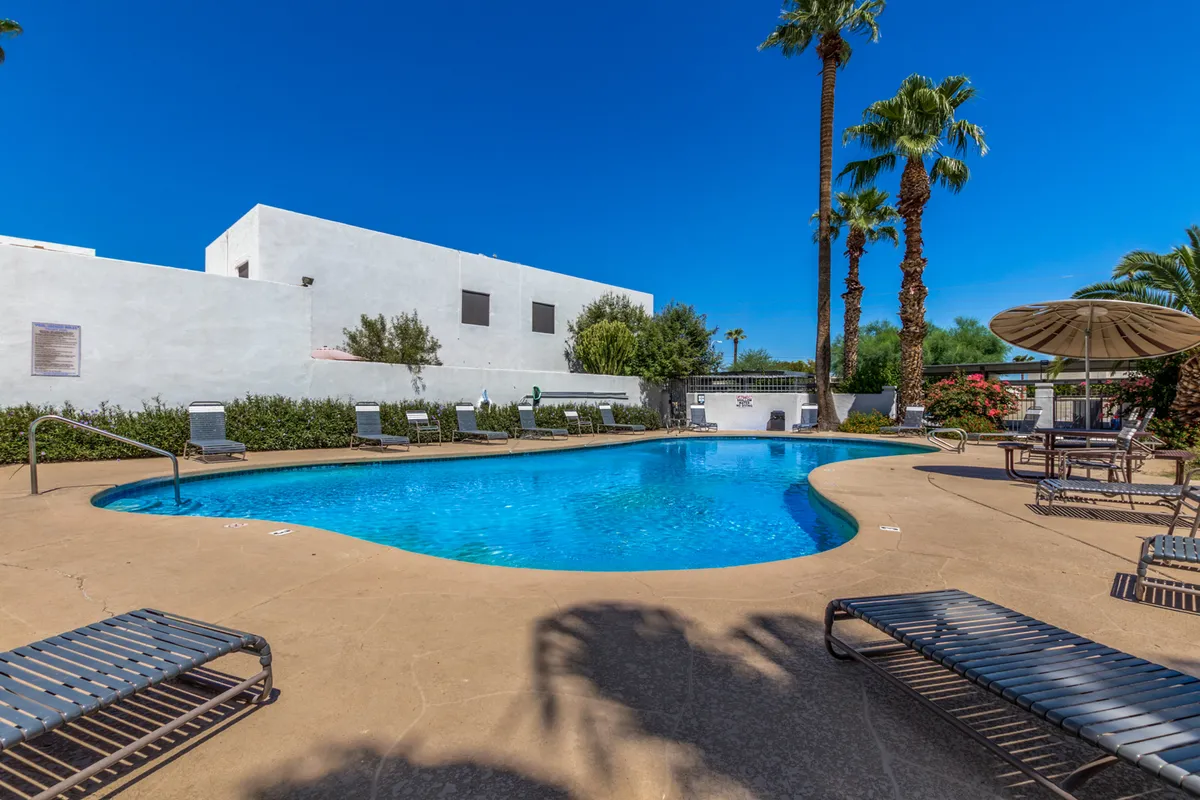 A vibrant swimming pool area surrounded by palm trees and inviting lounge chairs, set outdoors in the sun. The clear blue water and ample seating suggest a relaxing atmosphere, perfect for unwinding after a busy day. The scene exudes a sense of leisure and resort-like comfort.