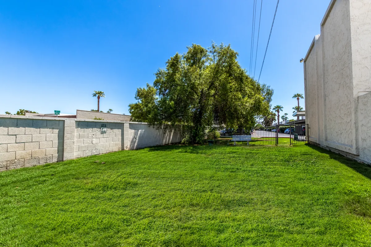 A spacious outdoor yard with lush green grass, a mature tree, and surrounding walls, ideal for children to play, picnics, or relaxed family gatherings. The sunny, open space is safe and easily observed by adults.